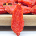 Agolyn Pure Natural Dried Organic Chinese fruit Wolfberry
Agolyn Pure Natural Dried Organic Chinese fruit Wolfberry
 
 